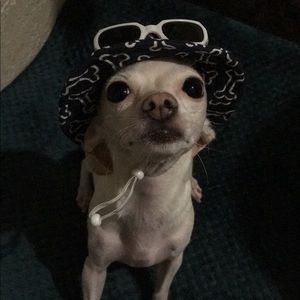 Meet your Posher, Gary